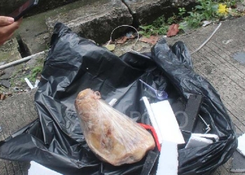 Komite Keselamatan Jurnalis Laporkan Teror terhadap Tempo ke Komnas HAM