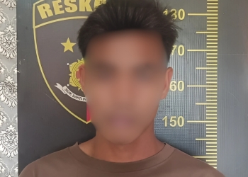 Tim PWI Tinjau Lokasi Rumah Subsidi Wartawan, Ketua Umum Apresiasi Komitmen Pemerintah