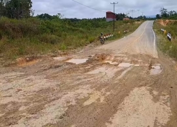 Baru Dibangun PT Adhi Karya, Jalan Nasional di Perbatasan Kapuas Hulu Sudah Rusak