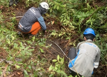 PLN Sigap Bersihkan Jalur Tranmisi usai Lebaran untuk Antisipasi Cuaca Ekstrem di Kalimantan Tengah