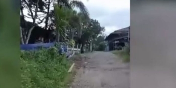 Oknum Dewan Melawi Dituding Monopoli Perdagangan Kayu Ilegal