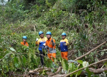 PLN 84 Jam di Tengah Hutan, Pejuang Kelistrikan PLN Amankan Transmisi Saat Idulfitri 1446 H