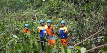 PLN 84 Jam di Tengah Hutan, Pejuang Kelistrikan PLN Amankan Transmisi Saat Idulfitri 1446 H