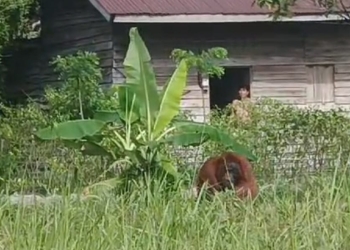 Hari Buruh, Pemkot Pontianak Gotong Royong Bersihkan Parit dan Saluran Air