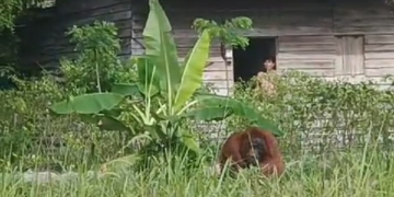 Hari Buruh, Pemkot Pontianak Gotong Royong Bersihkan Parit dan Saluran Air