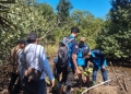 Karang Taruna ‘Garda’ Sungai Besar Tanam Magrove di Pesisir Pantai