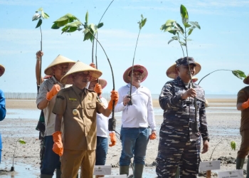Wabup Jamhuri Apresiasi Penanaman 3 Ribu Mangrove oleh Lanal Ketapang di Pantai Air Mata Permai