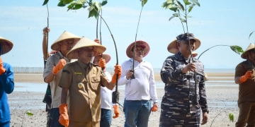 Wabup Jamhuri Apresiasi Penanaman 3 Ribu Mangrove oleh Lanal Ketapang di Pantai Air Mata Permai