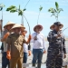 Wabup Jamhuri Apresiasi Penanaman 3 Ribu Mangrove oleh Lanal Ketapang di Pantai Air Mata Permai