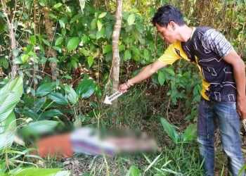 Pergi Mancing, Warga Silat Hilir Ditemukan Tak Bernyawa