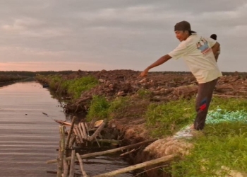 Seorang Pria Meninggal Tenggelam di Areal PT WSL Kubu Raya