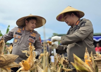 Secara Virtual, Pemkab Ketapang Ikut Panen Raya yang Dipimpin Prabowo