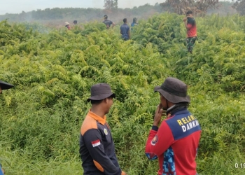 Toko Elektronik di Nusa Indah III Pontianak Terbakar