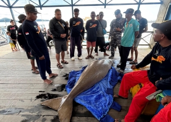 Menteri P2MI: Jalur Tikus di Kalbar Jadi Pintu Keluar Pekerja Migran Ilegal