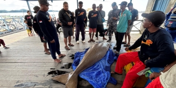 Menteri P2MI: Jalur Tikus di Kalbar Jadi Pintu Keluar Pekerja Migran Ilegal