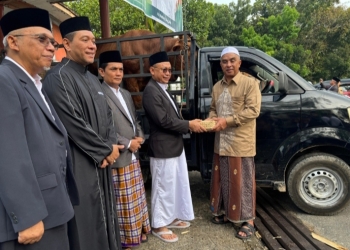 Pemkot Pontianak Salurkan 22 Ekor Sapi