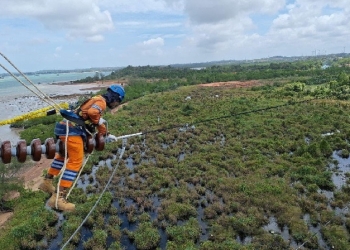 Wujud Kontribusi ke Negara, PLN Setor Rp65,59 Triliun Lewat Dividen, Pajak, dan PNBP