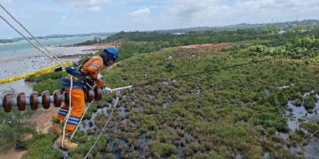 Wujud Kontribusi ke Negara, PLN Setor Rp65,59 Triliun Lewat Dividen, Pajak, dan PNBP