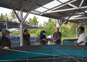 Terima Bantuan Pemerintah, Pokdakan Debar Karya Pawan Pastikan Sesuai Prosedur