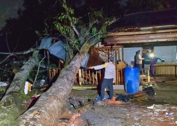 Polisi dan Damkar Evakuasi Pohon Tumbang yang Timpa Warung Kopi di Kubu Raya