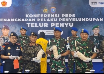 Memalukan! Oknum TNI Terlibat Penyelundupan Telur Penyu Jaringan Internasional