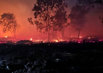 Polresta Pontianak Gagalkan Peredaran Sabu Seberat 3 Kilogram Jaringan Antar Provinsi