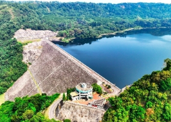 Peningkatan Pendapatan Dorong PLN Masuk Fortune Global 500