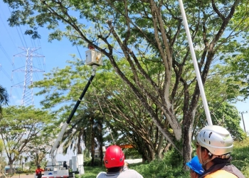 PLN Pastikan Keandalan Listrik Jelang Hari Kemerdekaan, Jalur SUTT Cempaka–Bandara Dibersihkan dari Pohon Kritis