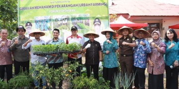 Upaya Tekan Inflasi, TPID Kuponwah Kompak Tanam Cabai dan Komoditas Pangan