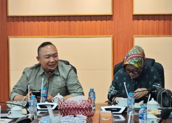 BPK Lakukan Pemeriksaan Pendahuluan Terhadap PAD Ketapang