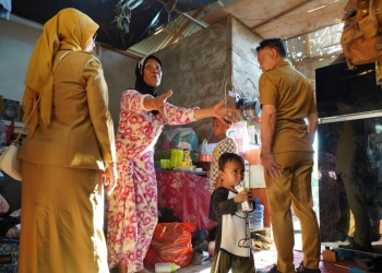 Selain Bidang Kesehatan, Posyandu Pontianak Siap Terapkan Enam Standar Pelayanan Minimal