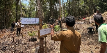 Lestarikan Alam, PLN dan Masyarakat Bangun Demplot Agroforestry di Desa Upit