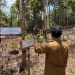 Lestarikan Alam, PLN dan Masyarakat Bangun Demplot Agroforestry di Desa Upit