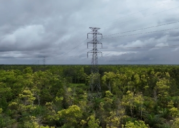 Dedikasi PLN di Hari Pelanggan Nasional, Hadir Melalui Monitoring Program Mitigasi Karhutla di Jumpun Pambelom