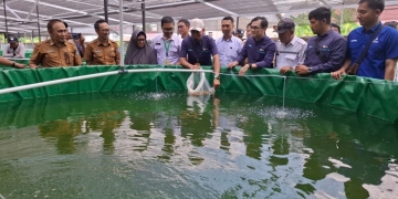 PLN UIP KLB Perkuat Ketahanan Pangan dan Tingkatkan Ekonomi Masyarakat Lewat Budidaya Ikan Air Tawar di Sungai Ambawang