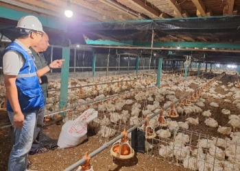 Utamakan Daya Beli Masyarakat, Pemerintah Jaga Tarif Listrik Tetap Terjangkau Sepanjang 2025