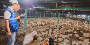 Utamakan Daya Beli Masyarakat, Pemerintah Jaga Tarif Listrik Tetap Terjangkau Sepanjang 2025