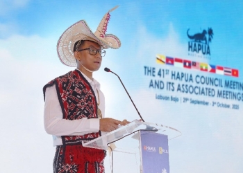 PLN Dorong Interkoneksi ASEAN Power Grid untuk Akselerasi Transisi Energi Bersih