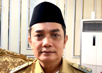 PWI Minta MK Pertegas Perlindungan Wartawan Sesuai Pasal 8 UU Pers