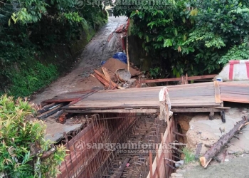 PWI Minta MK Pertegas Perlindungan Wartawan Sesuai Pasal 8 UU Pers