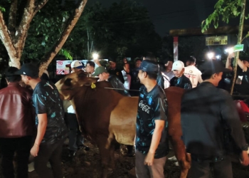 Juara Mini Soccer Bahasan Cup 2025, Radit FC Bawa Pulang Hadian Seekor Sapi