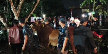 Juara Mini Soccer Bahasan Cup 2025, Radit FC Bawa Pulang Hadian Seekor Sapi