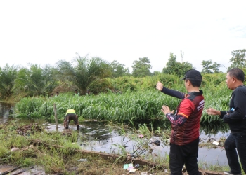 Juara Mini Soccer Bahasan Cup 2025, Radit FC Bawa Pulang Hadian Seekor Sapi