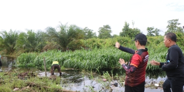 Juara Mini Soccer Bahasan Cup 2025, Radit FC Bawa Pulang Hadian Seekor Sapi