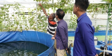 PLN UIP3B Kalimantan Perkuat Ekonomi Lokal Lewat Bantuan Pembibitan di Kebun Anggur Cempakasari