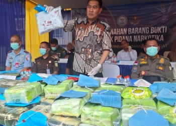 BNNP Kalbar Musnahkan Barang Bukti Narkotika Seberat 61 Kilogram Lebih