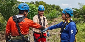 Para Penjaga Listrik: Semangat Kepahlawanan di Menara Transmisi