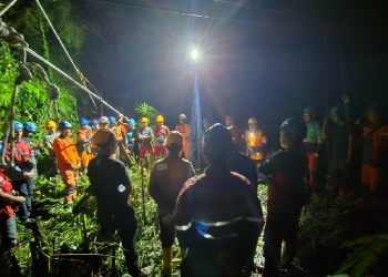 PLN UPT Pontianak Pulihkan Jaringan Terdampak Pohon Tumbang pada Line 2 Tayan – Ngabang
