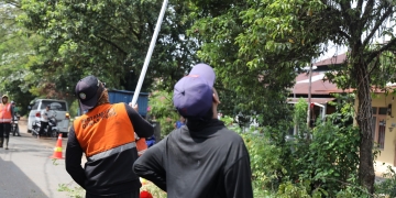 Tindaklanjuti Aduan Warga, PUPR Pontianak Pangkas Pohon di Jalan Selat Sumba