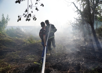 Edi Akui Sulitnya Padamkan Kebakaran di Batas Kota, Harap BPBD Kalbar Membantu